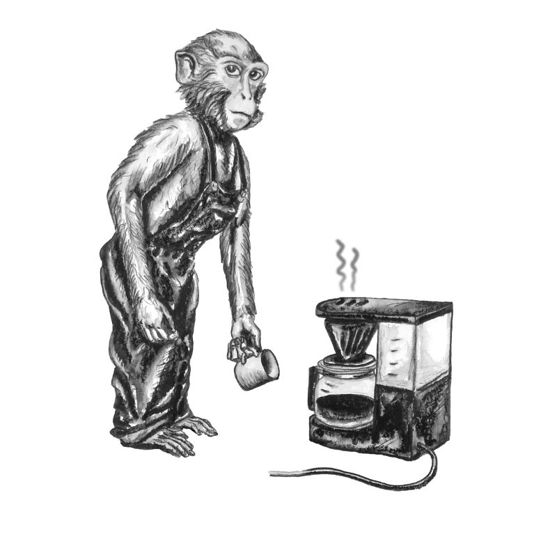 Monkey and coffee