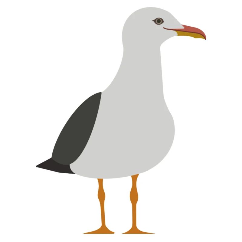 Mouette
