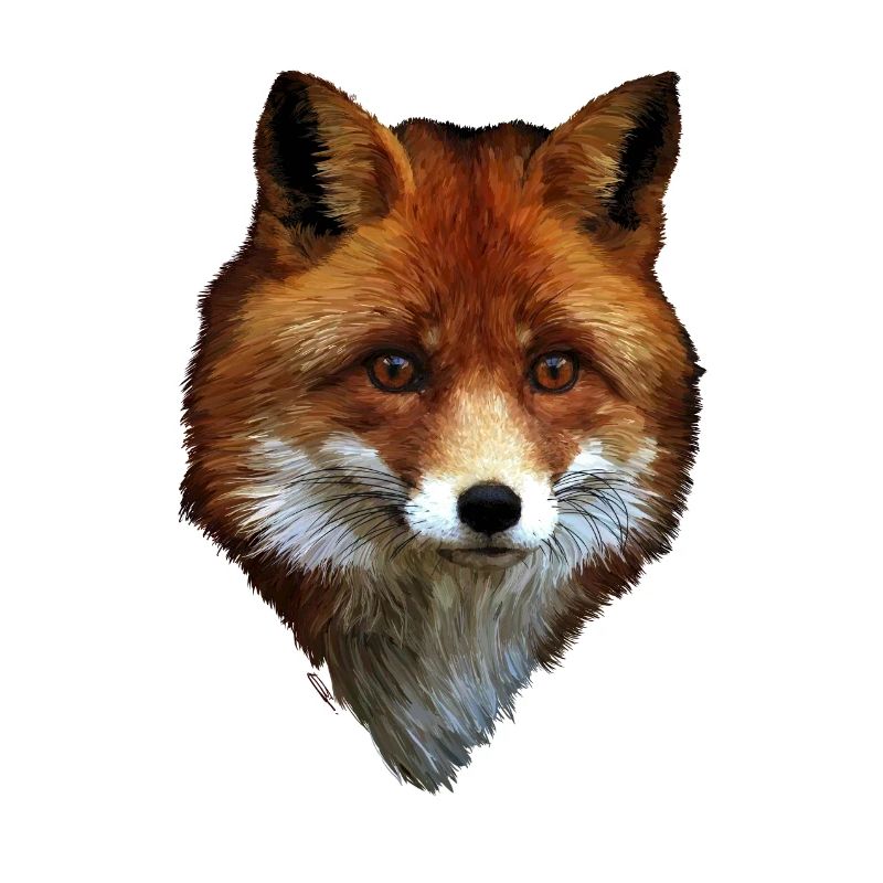 Fuchs