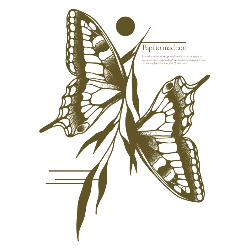 Papillon à queue d’aronde - Variante