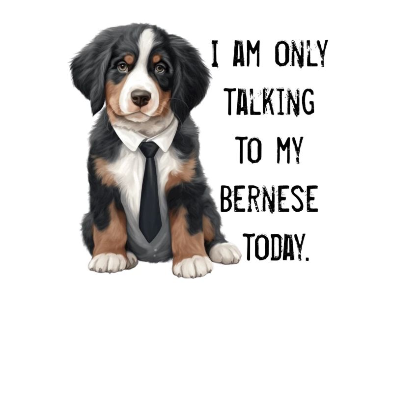 Bernese mountain dog