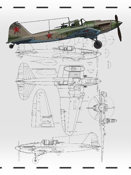 IL-2