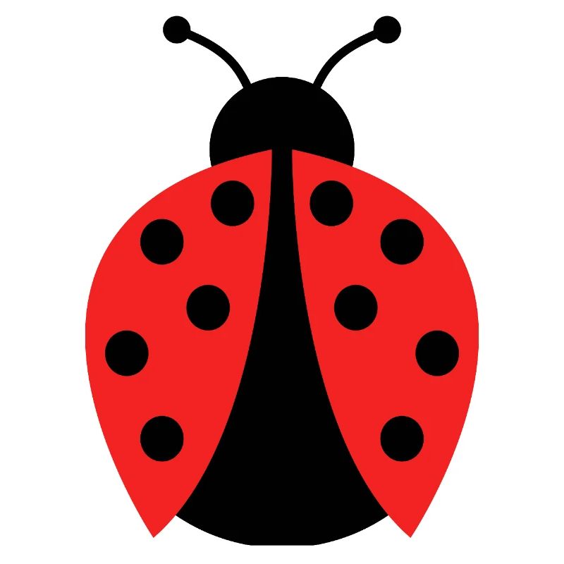 ladybug
