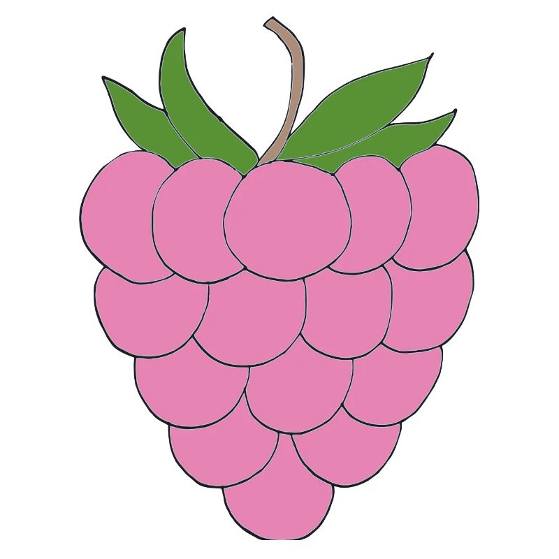 Pink Raspberry Illustration