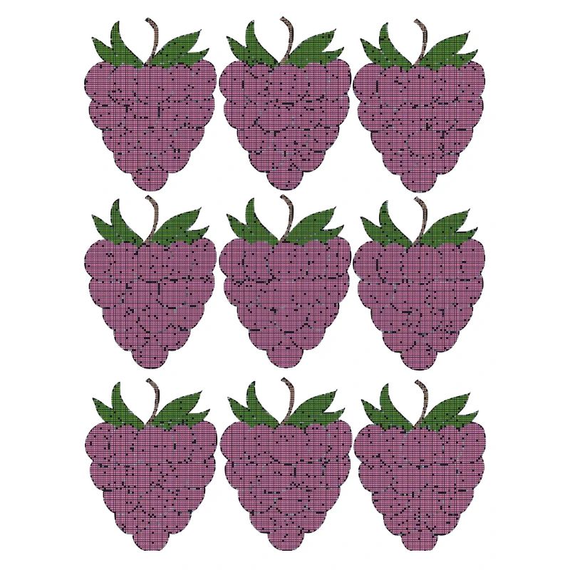 raspberry pattern textile
