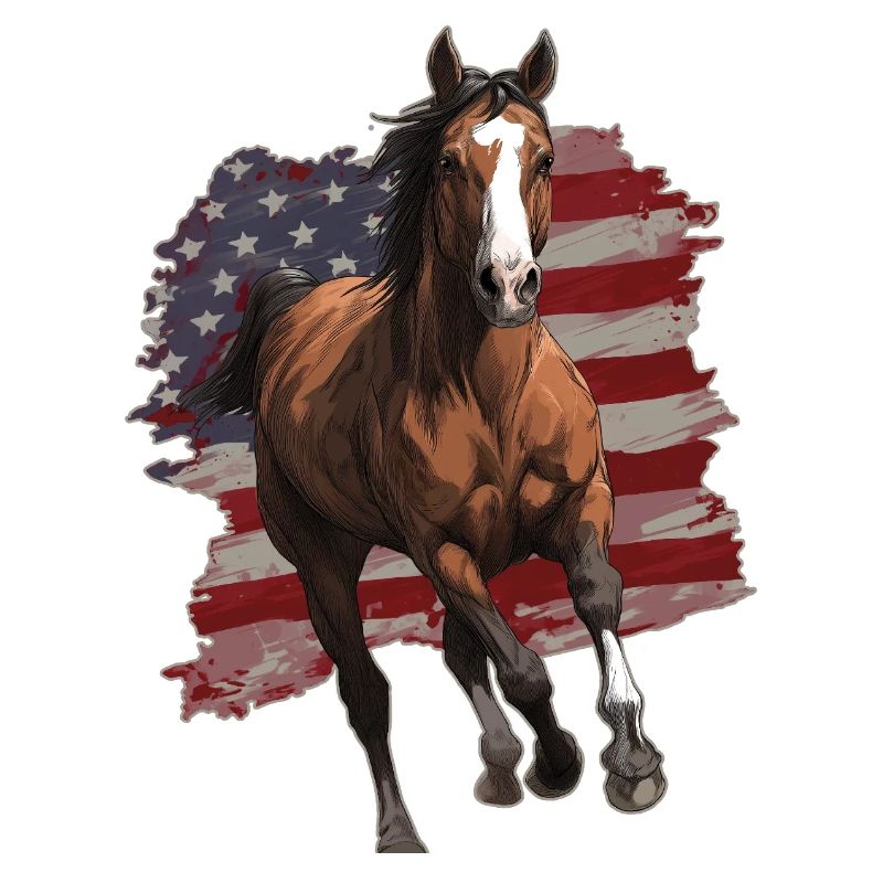 Drapeau des États-Unis de cheval