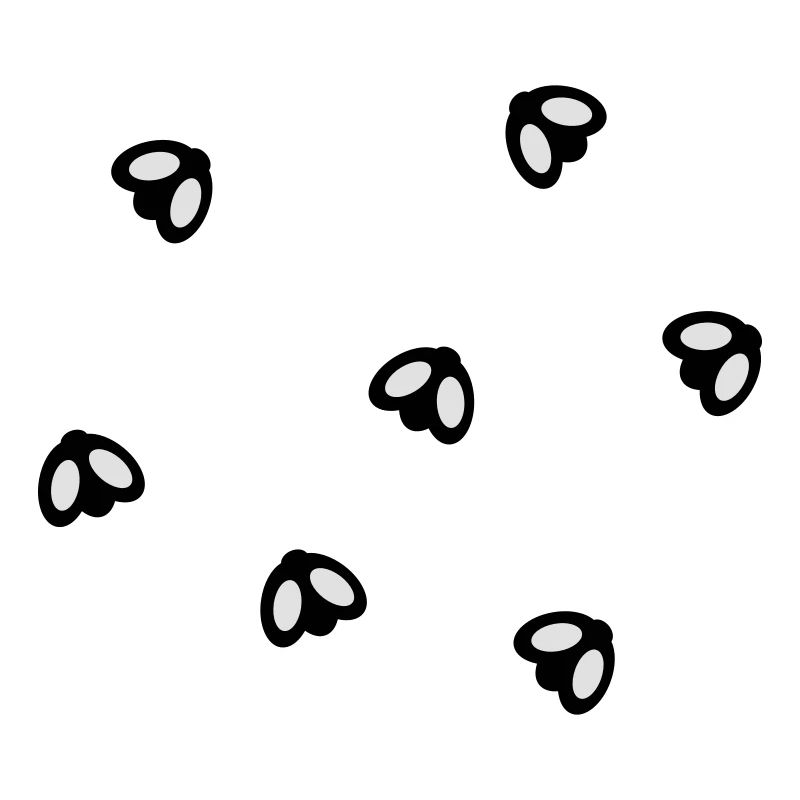 Fly