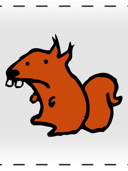 Eichhörnchen