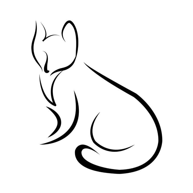 chat