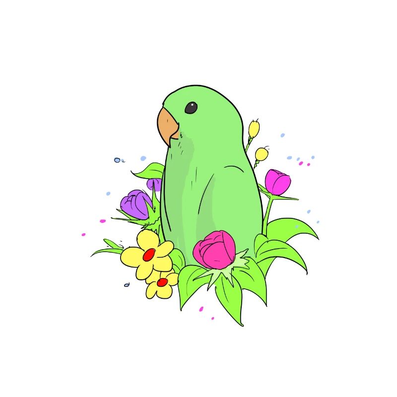 Dwarf Parrot Parakeet Parrots Inseparable