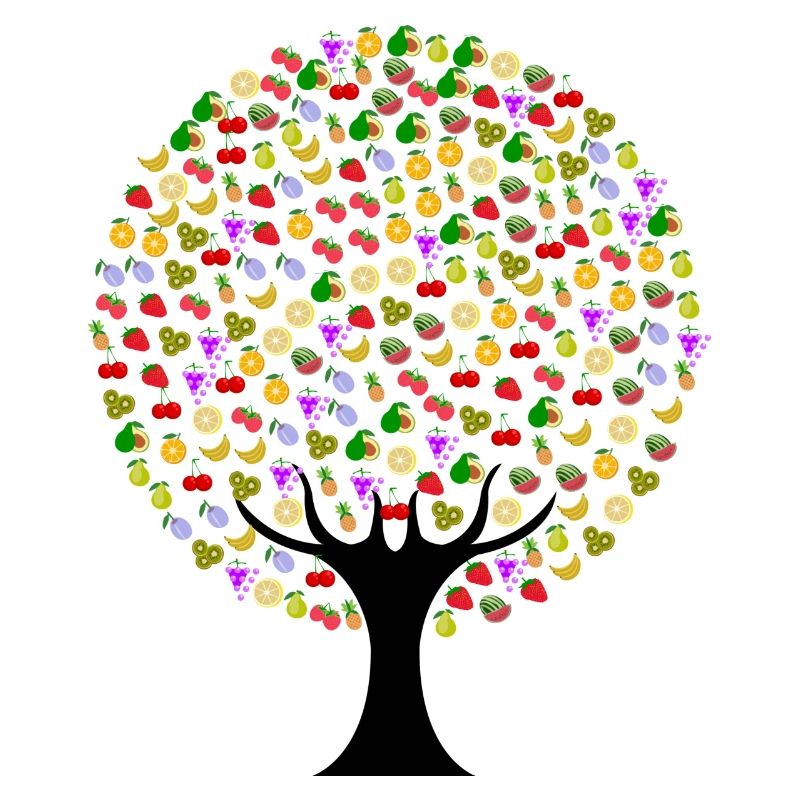 Lebensmittel Baum mit Obst