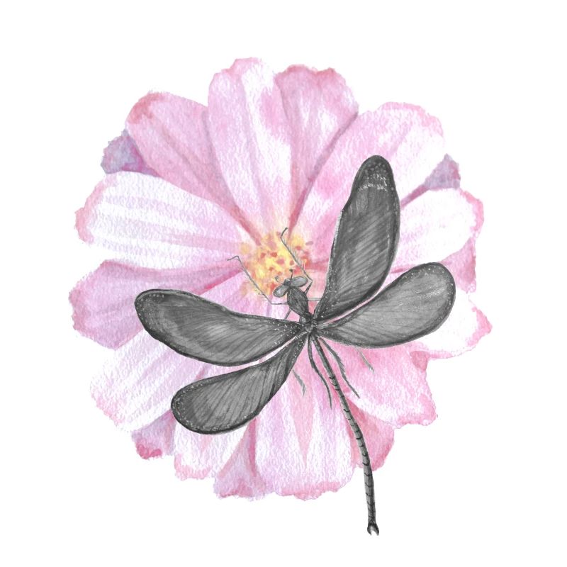 Libellule avec une fleur rose tendre