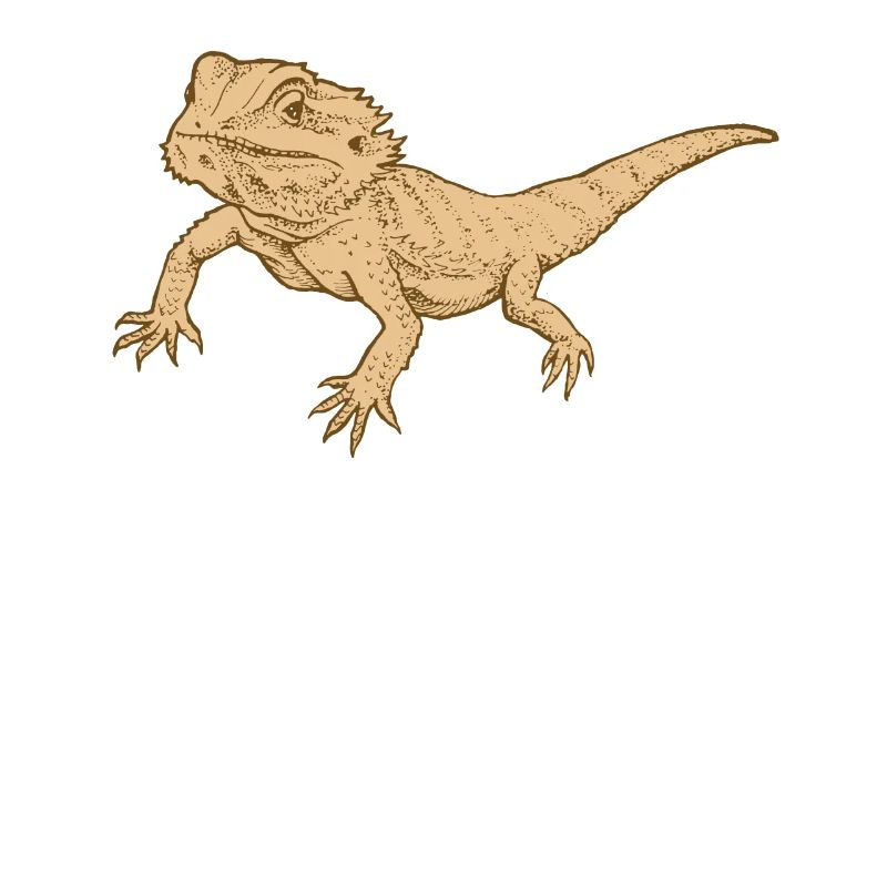 Bartagame Reptil Echse Gecko Futter Grillen
