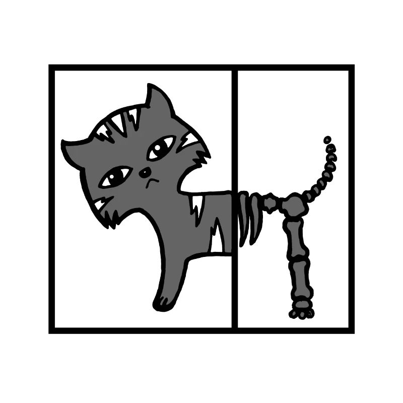 La physique du chat de Schroederer Cat Schrödinger