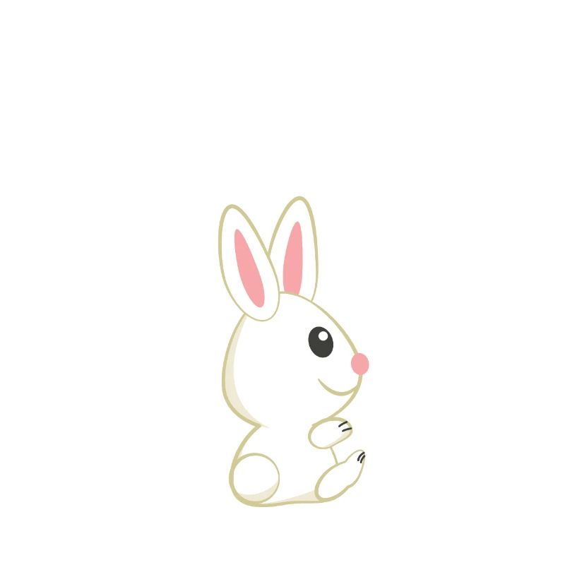 Rabbit - Rabbit - Rabbit owner - Cuddly rabbit