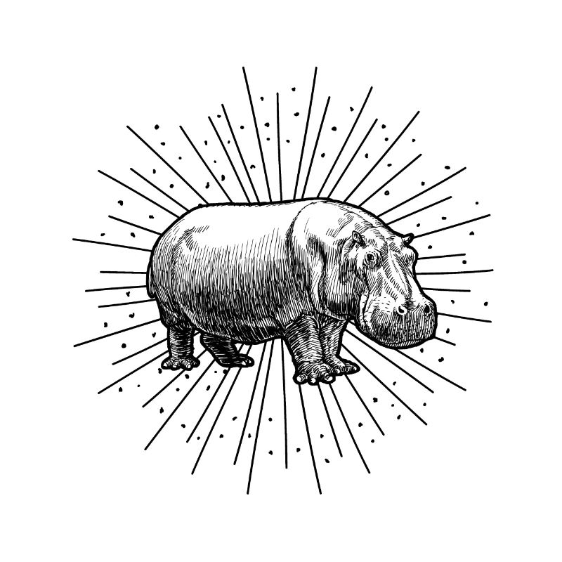 hippo