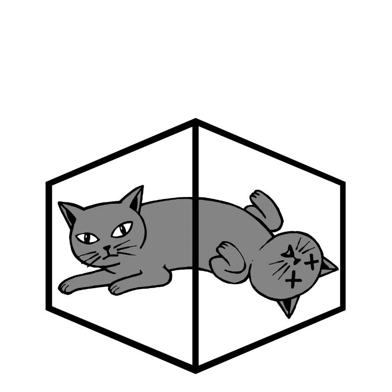 Schrödinger's cat physics quantum mechanics physicist