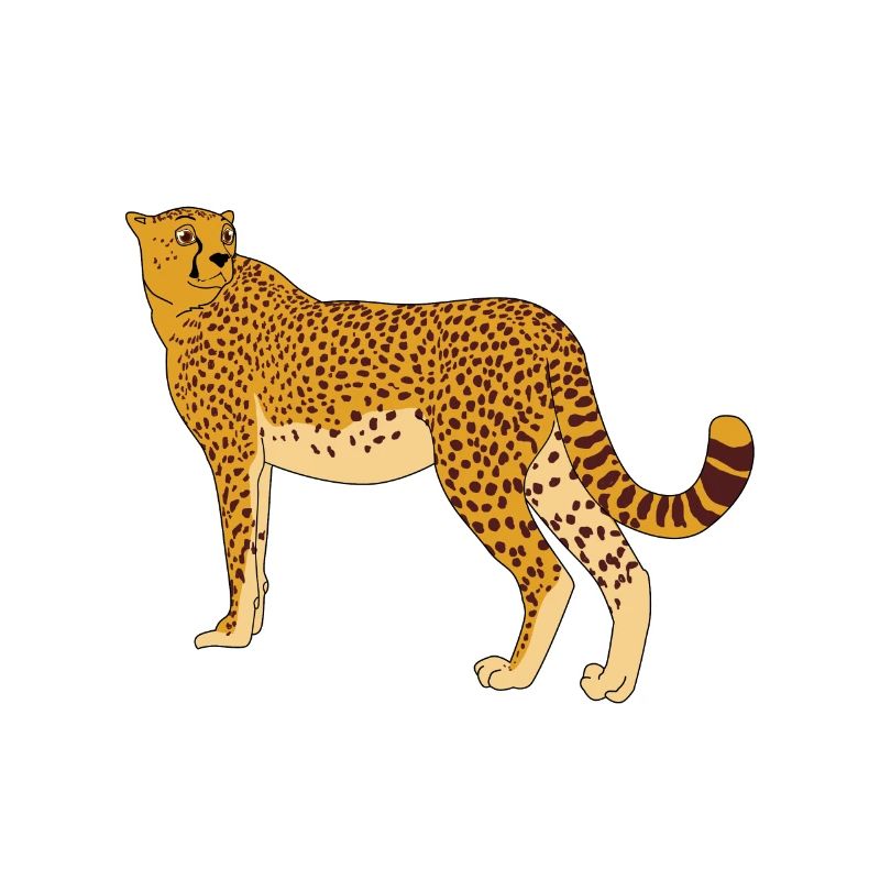 Idée de cadeau de bande dessinée de guépard safari léopard léopard