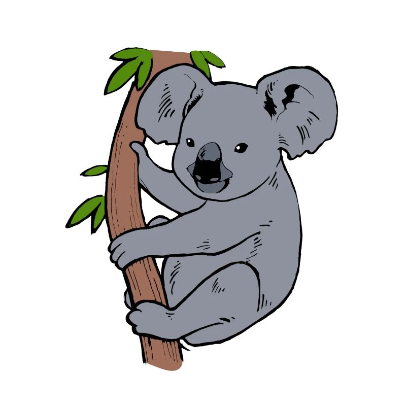 Koala