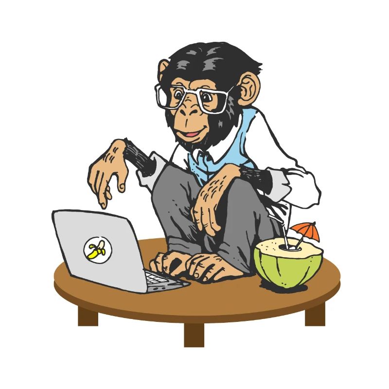 Singe devant l'ordinateur portable