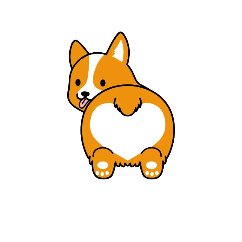 Corgi Gorgeous dog puppy fluffy