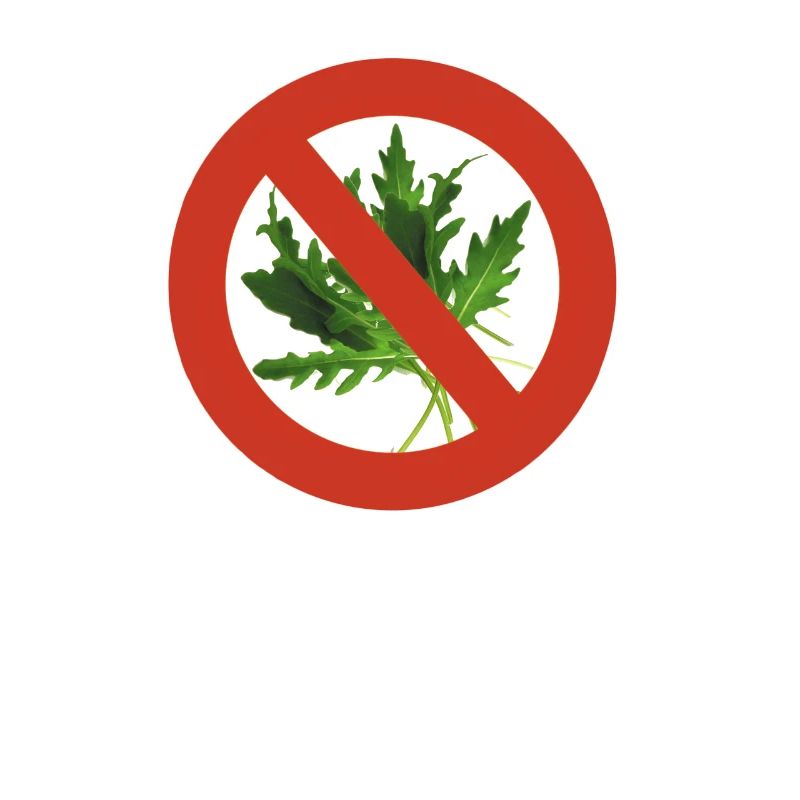 No rocket pleeease! Please no rocket!