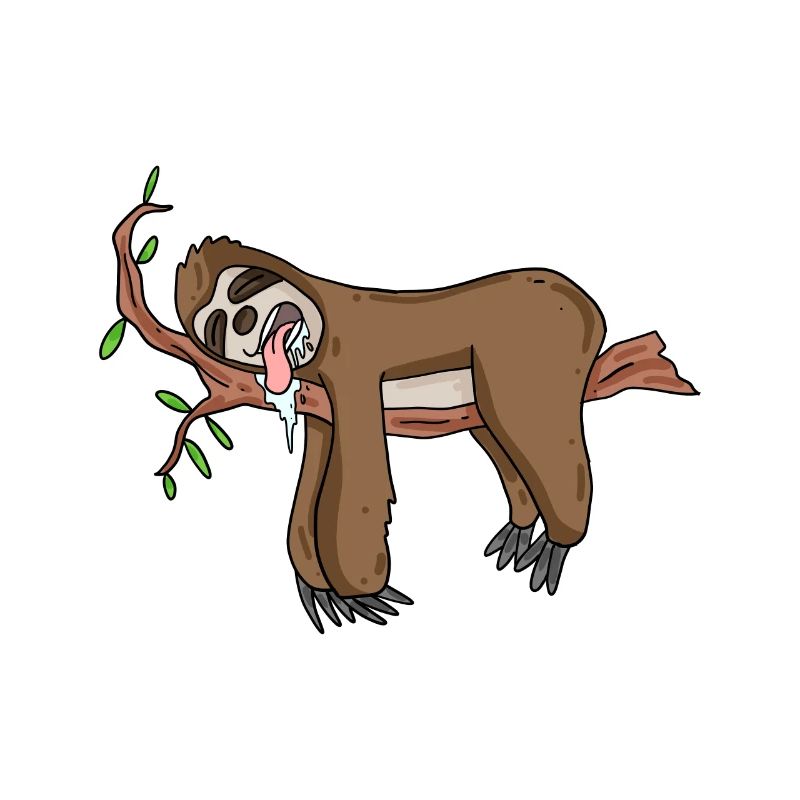 sloth