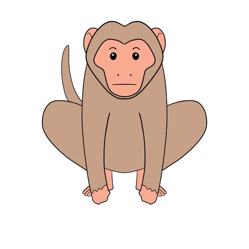 Macaque Monkey