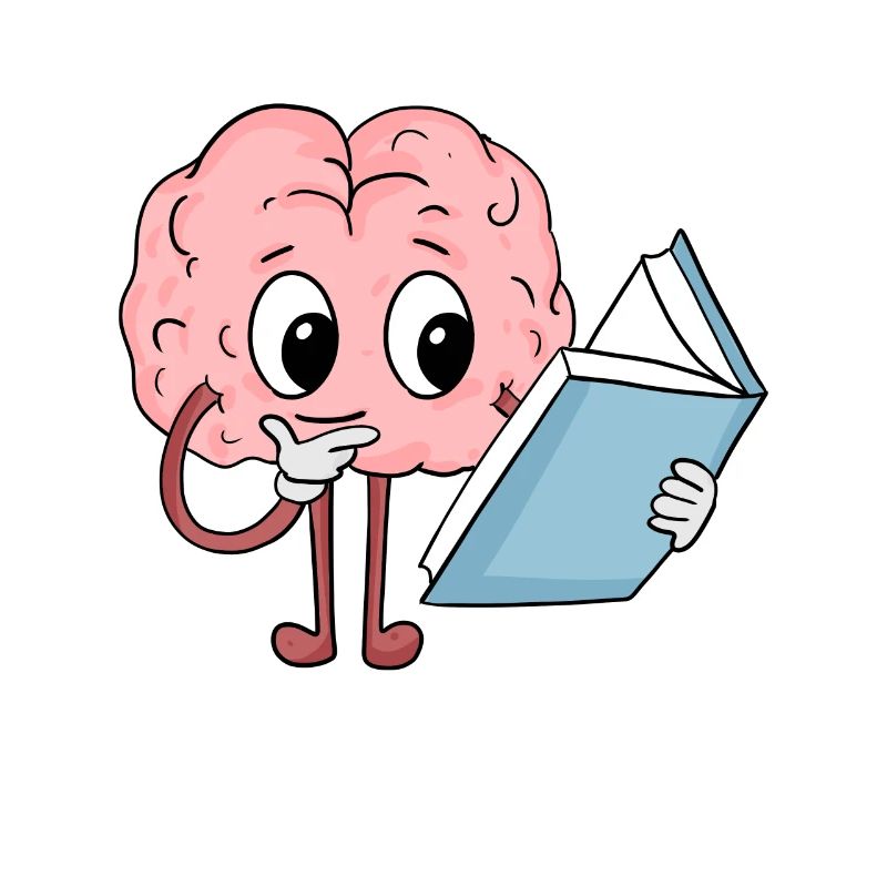 Brain reading