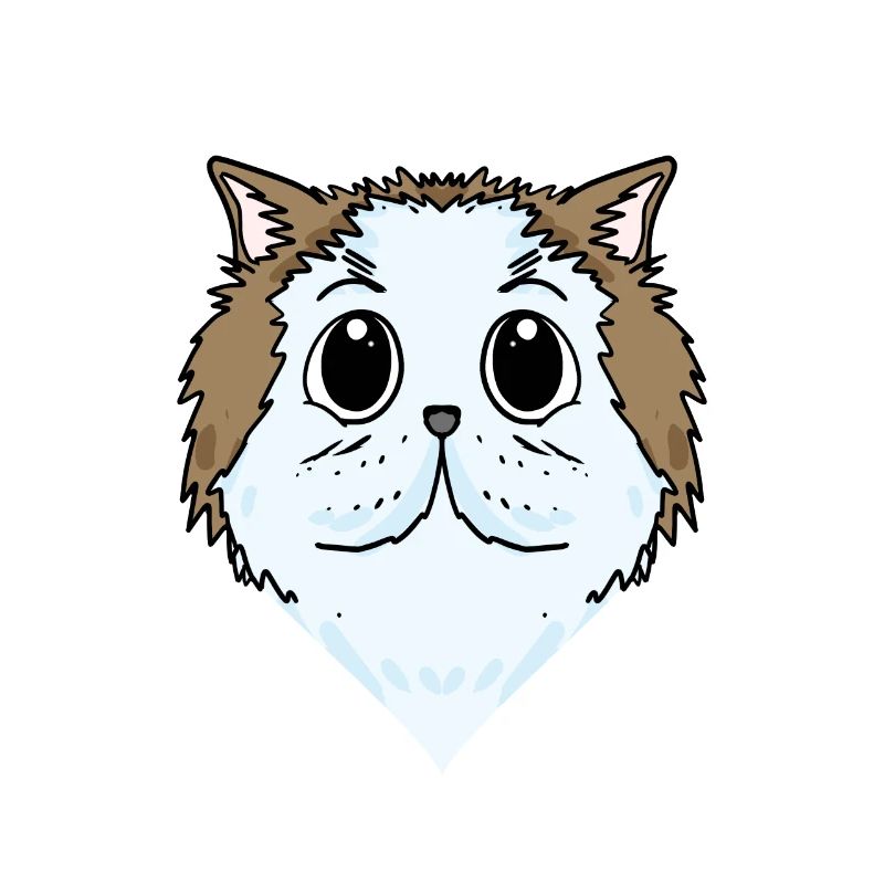 Chat persan Chat Race Chat