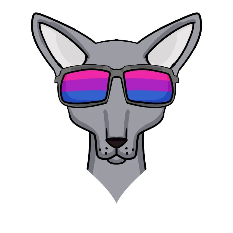 Bisexual Sphynx Cat Gift