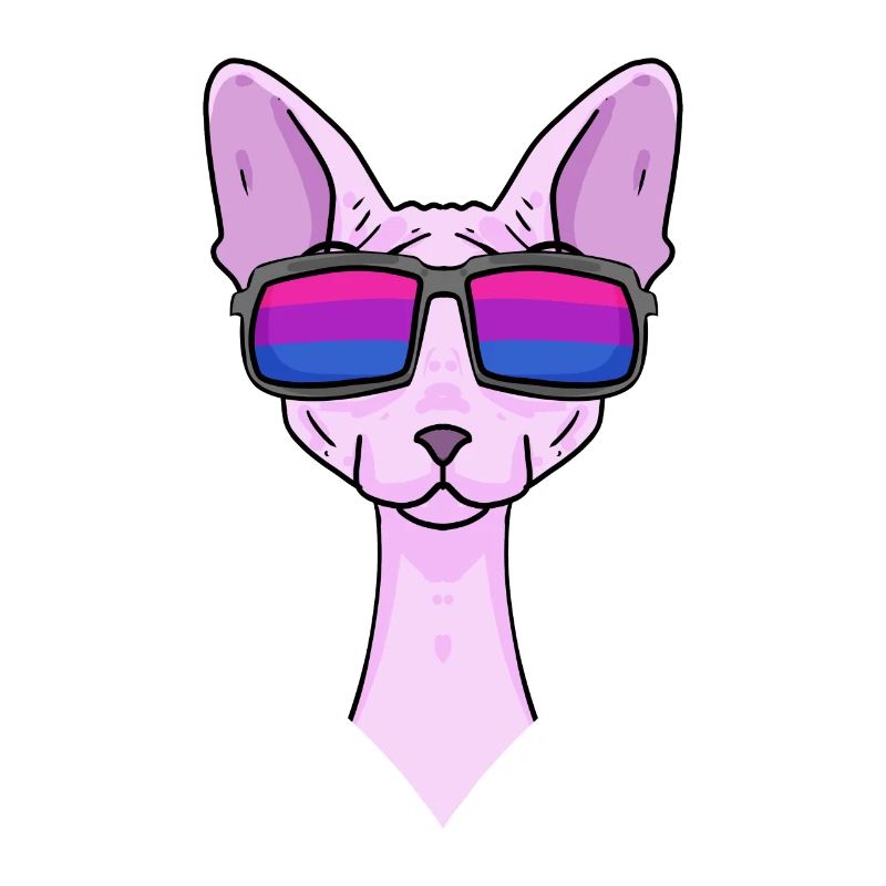 Bisexual Sphynx Cat Gift