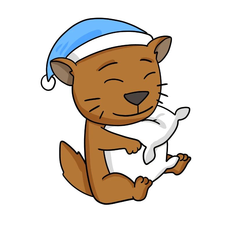 Chat race de chat Somali