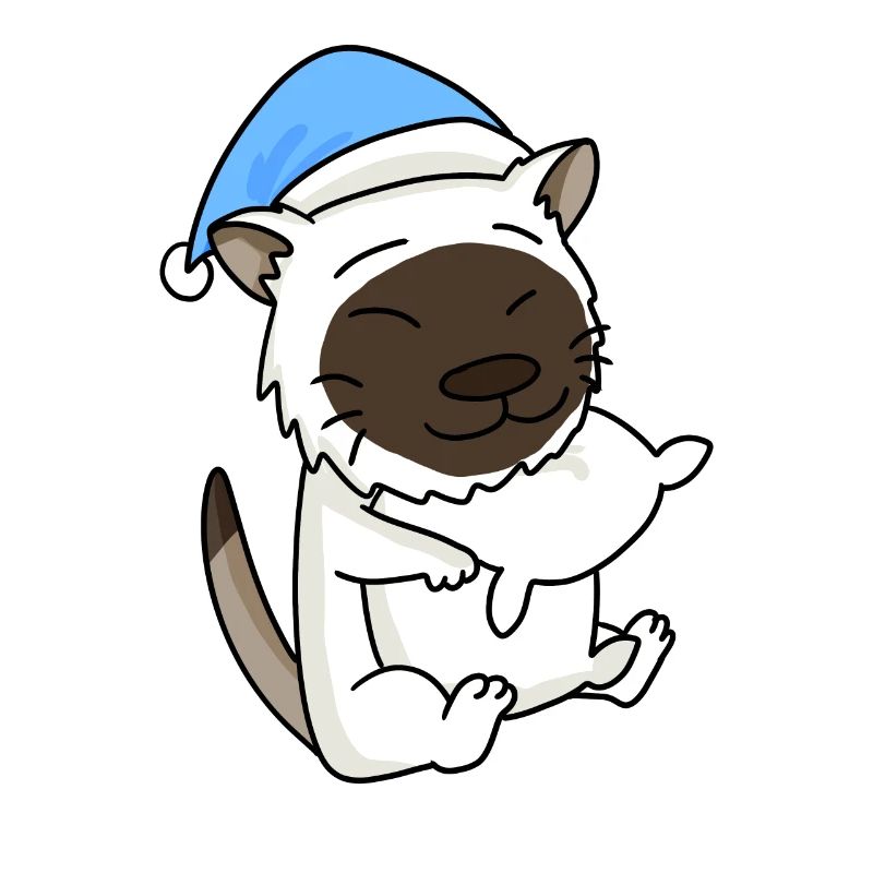 Chat race de chat Birmanie