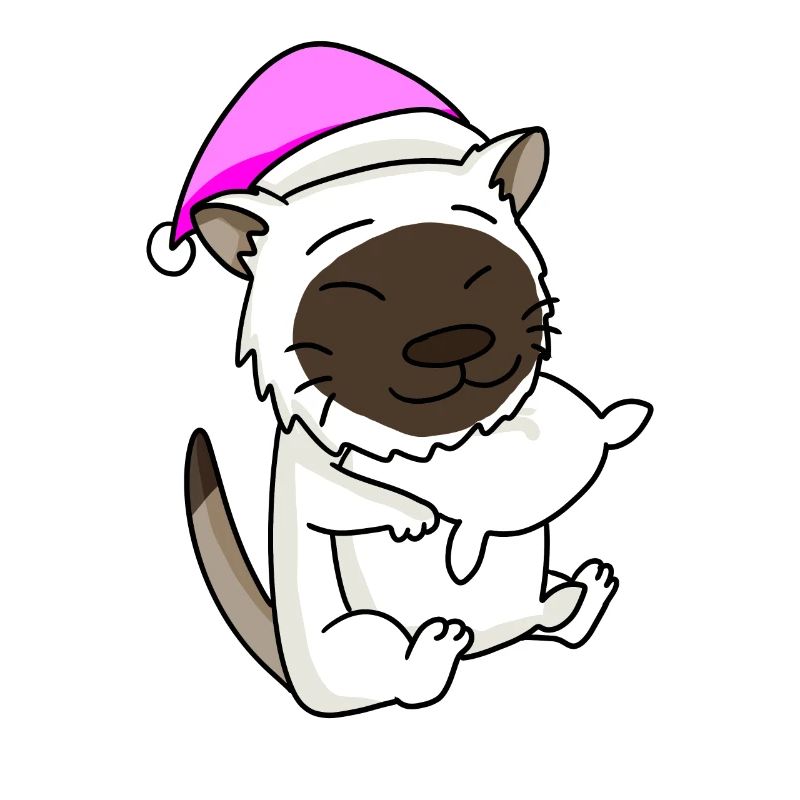 Chat race de chat Birmanie