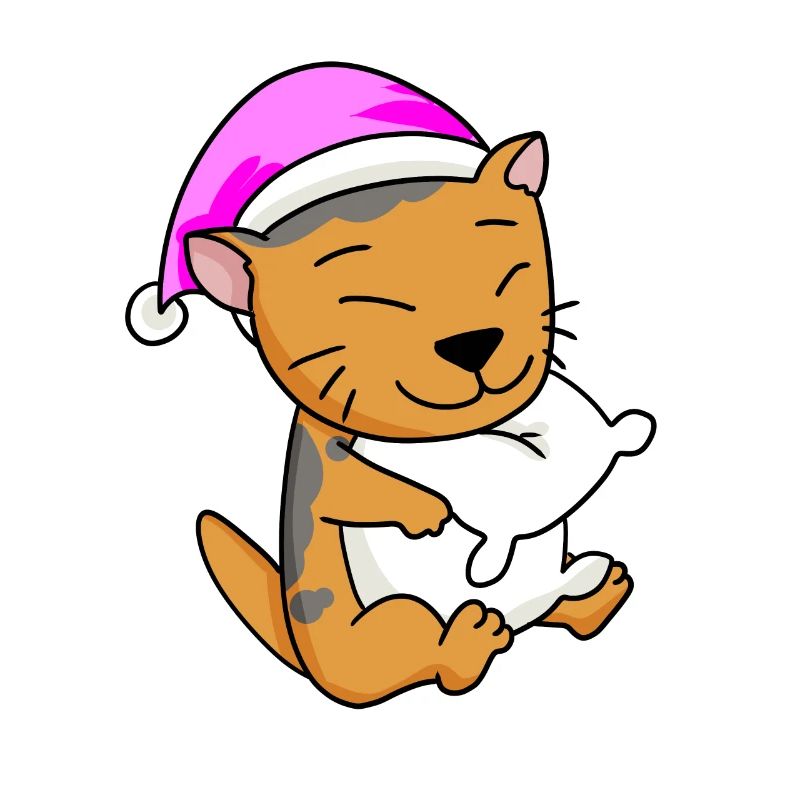Chat Cat Race Scottish Folding Ear Cat