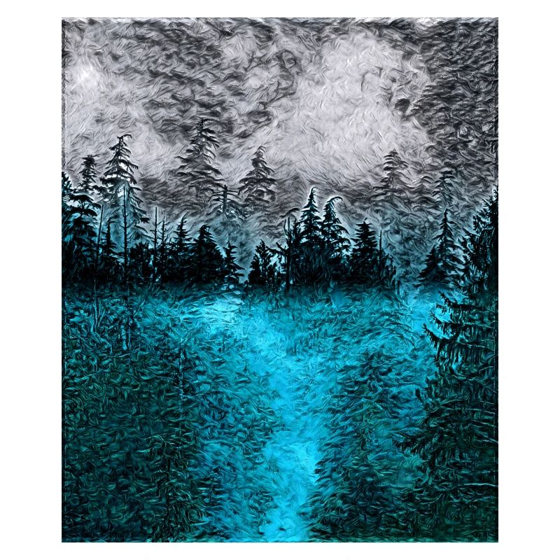 Tranquil Forest at Night