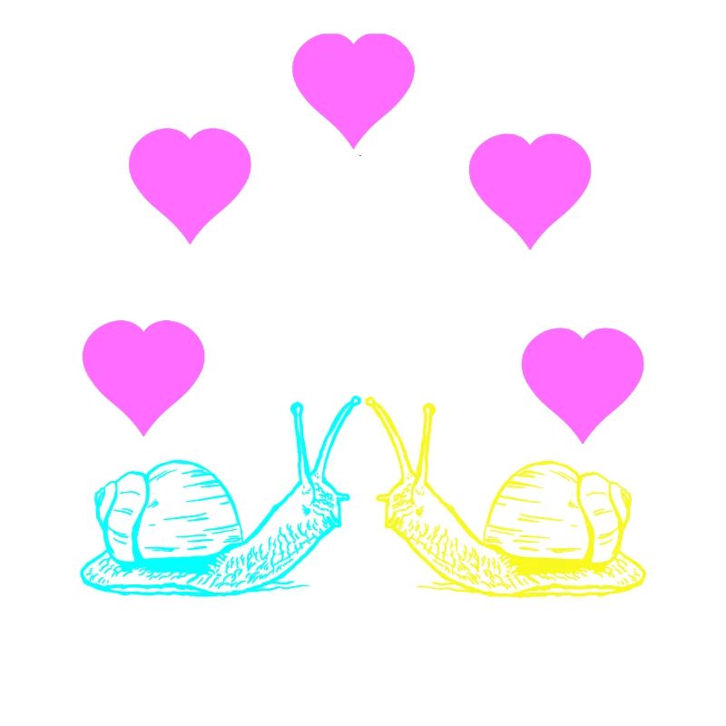 Escargots Escargot Saint Valentin