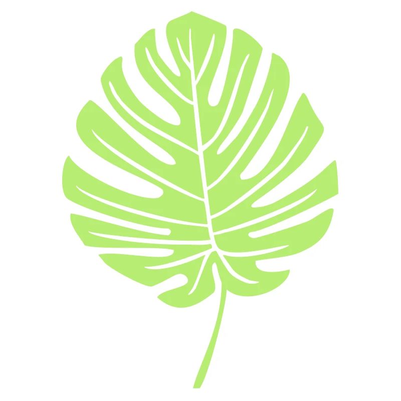 Grünes Monstera Blatt