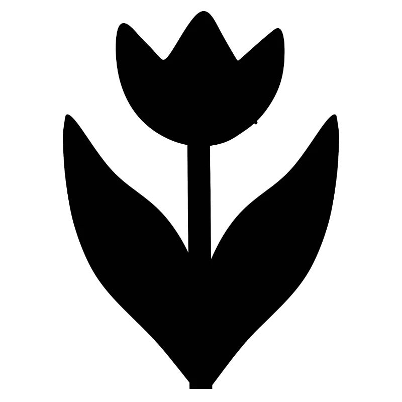 Fleur Fleurs Noires Fleur De Tulipe Fleur De Tulipe