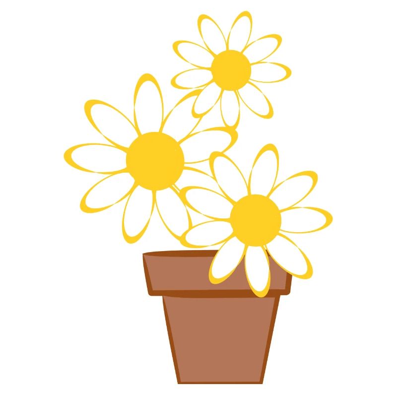 Daisies
