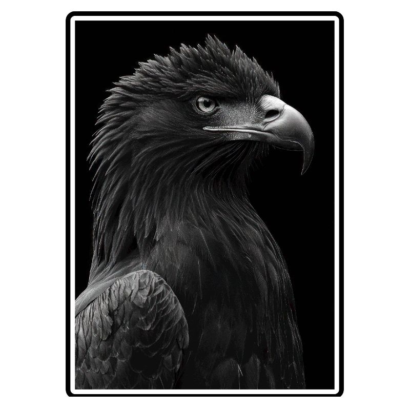 Aigle