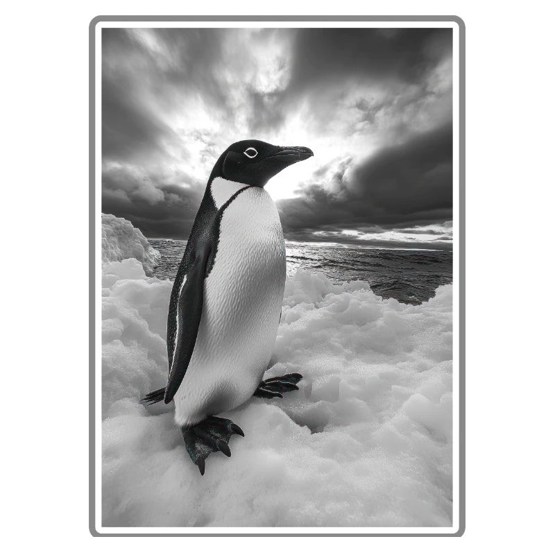 Pinguine Pinguin
