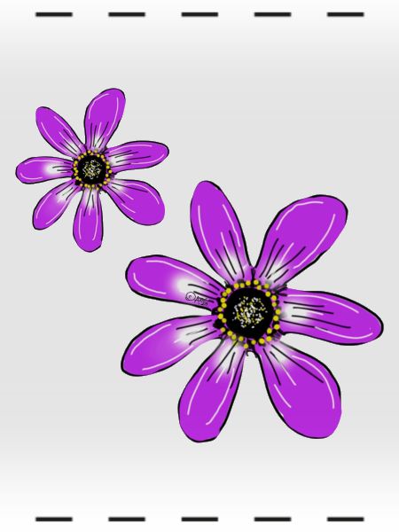 Blumen Pink