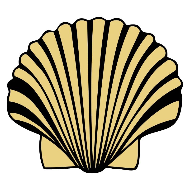 coquille saint jaques coquillage de Compostelle