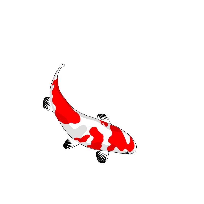 Im nächsten Leben werde ich ein Koi