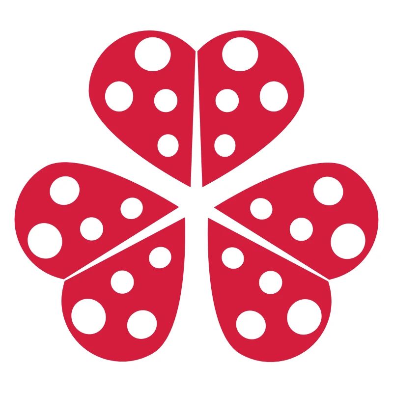 Half Little Ladybug Design