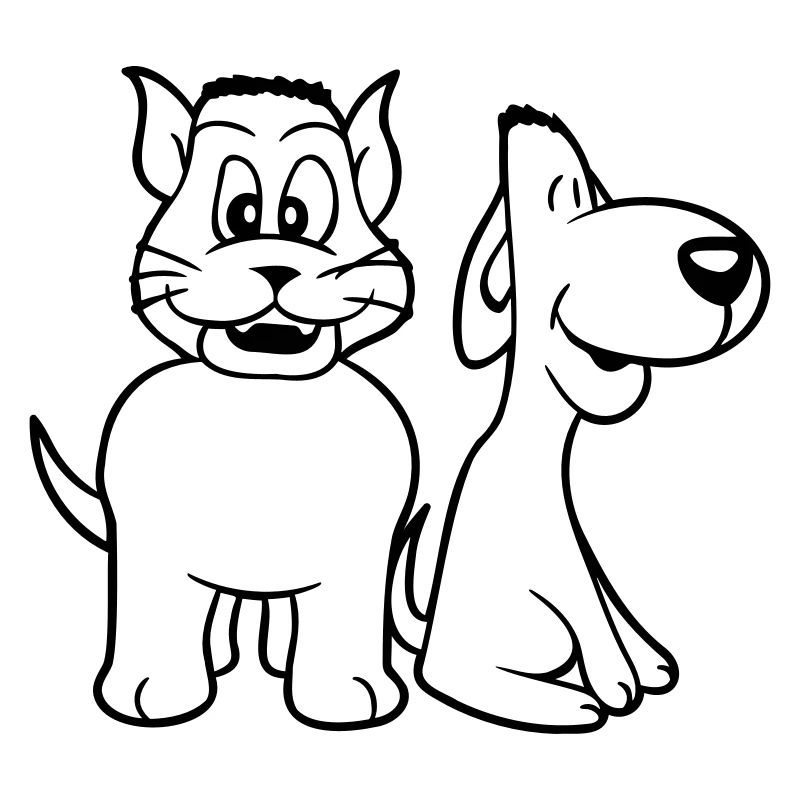 Chien Chat Deux Amis Équipe Chaton 2 Duo Équipage
