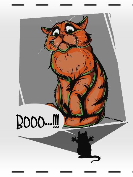 Booo