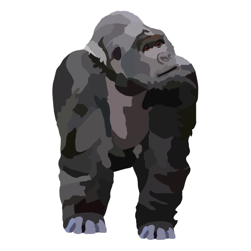 Gio, der Gorilla